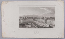 Mulhouse : vue panoramique