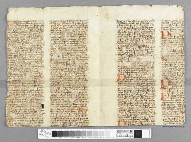 Fragment ms 378g