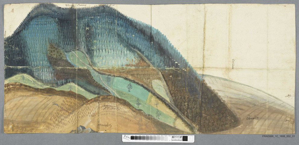 Plans des forêts dépendant du château de Haneck, fief tenu de l'abbaye de Munster par les Schauenburg. (3 pièces)