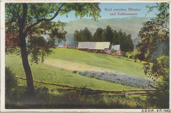 Vallée de Munster : ferme entre Munster et Kahlenwaser