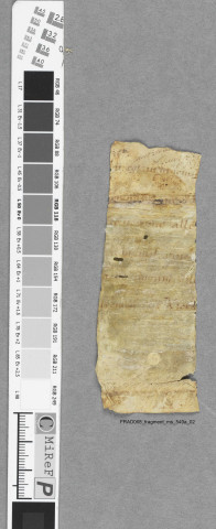 Fragment ms 549a