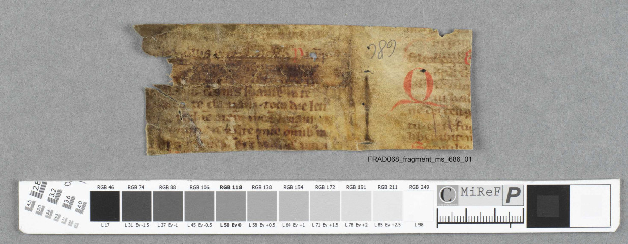 Fragment ms 686