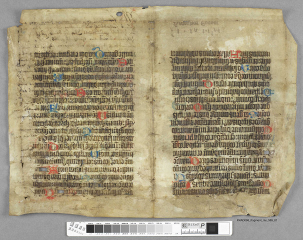 Fragment ms 569a