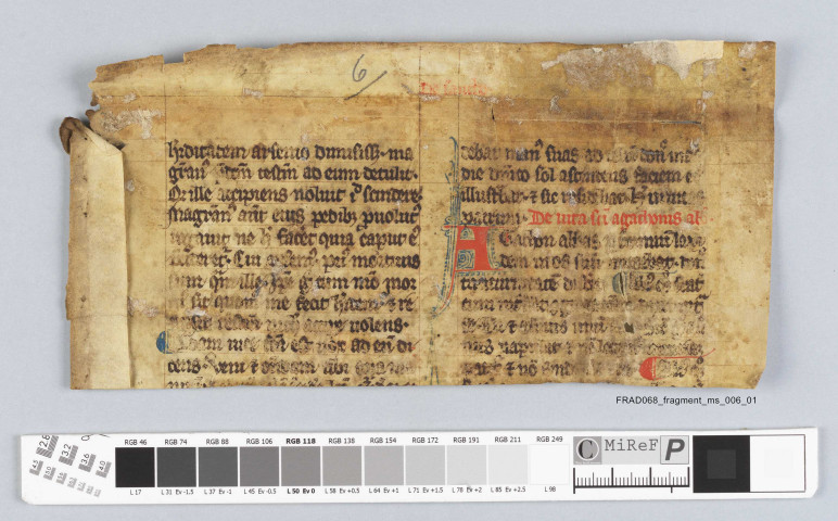 Fragment ms 006a