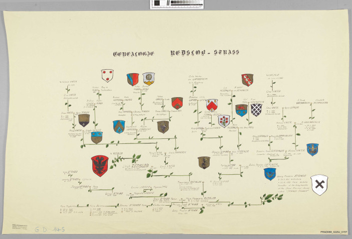 Généalogie Redslob-Strass dessinée par Monsieur Victor Schevin