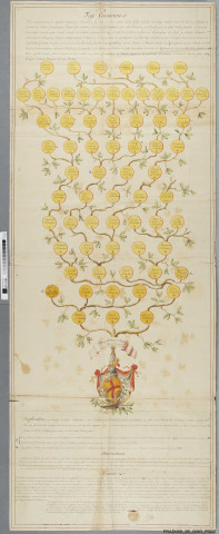 Arbre généalogique de la famille d'Andlau