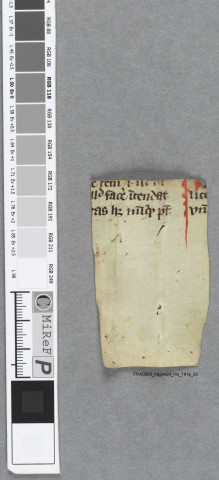 Fragment ms 191a