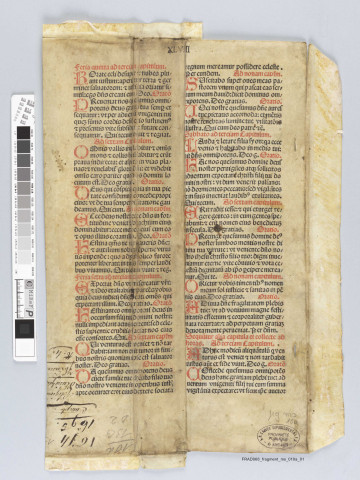 Fragment ms 010a