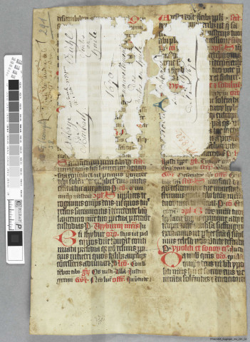 Fragment ms 291