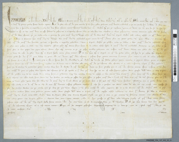 Bulle d'Innocent IV confirmant l'incorporation du monastère de Michelbach à l'abbaye de Lucelle