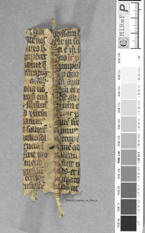Fragment ms 259a