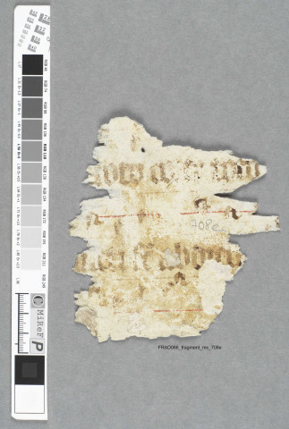 Fragment ms 708e