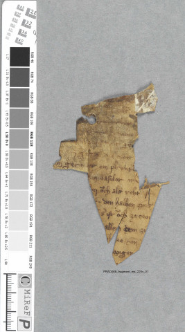 Fragment ms 225v