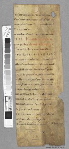 Fragment ms 633