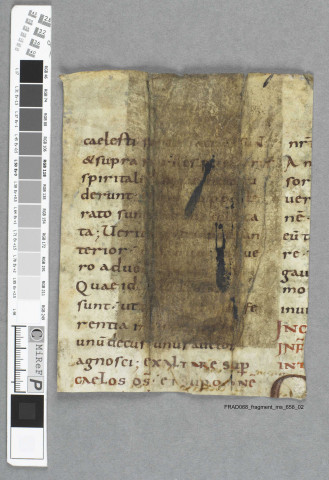 Fragment ms 658