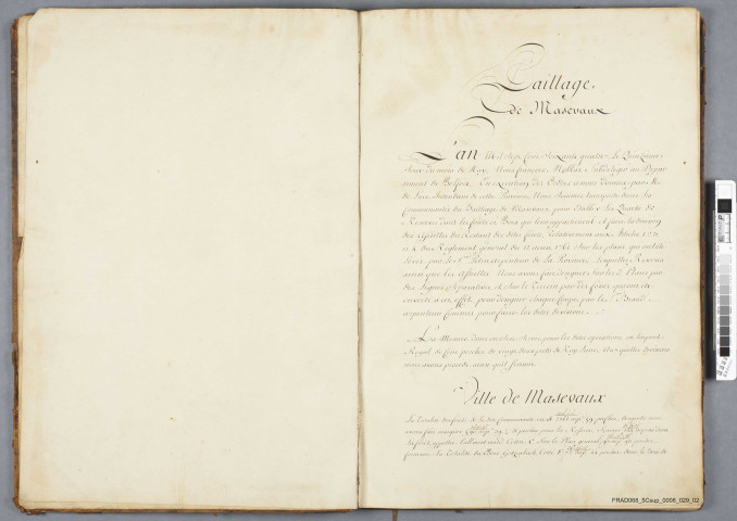 Etablissement des quarts des réserves dans les forêts et bois des communautés du bailliage de masevaux (masevaux kirchberg wegscheid, sewen oberbrucken rimbach dolleren, niederbrucken gewenheim sentheim