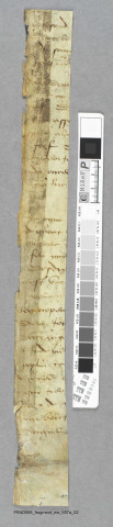 Fragment ms 657a