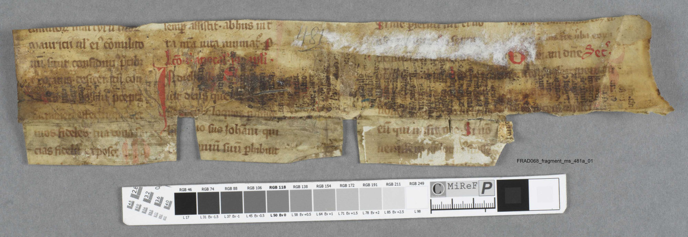 Fragment ms 481a