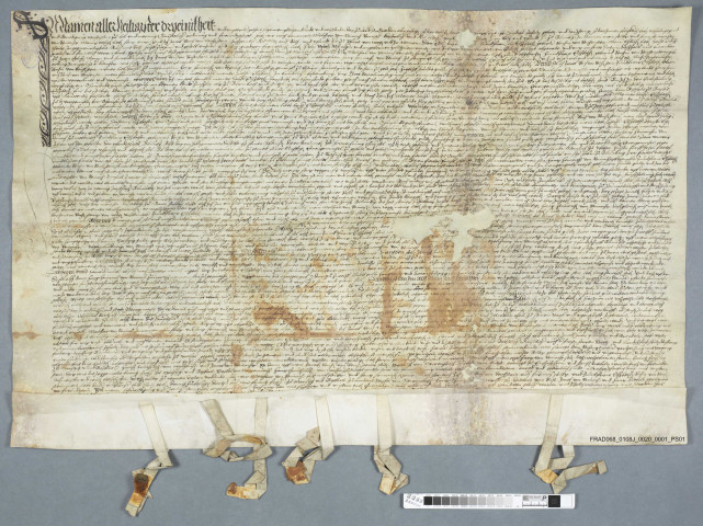 Contrat de mariage J-H de Reinach et Elisabeth Reich de Reichenstein