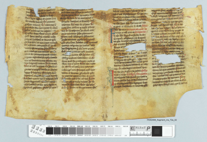 Fragment ms 072a