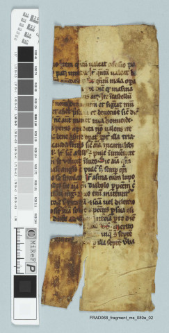 Fragment ms 089a