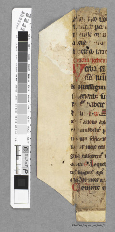 Fragment ms 603a
