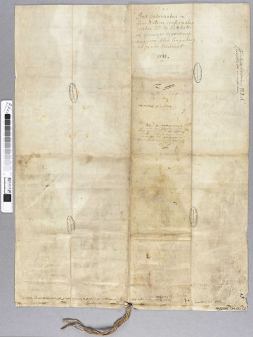 Charte de l'évêque (Henri) de Strasbourg relative au patronage de l'église de Herrlisheim (parchemin latin)