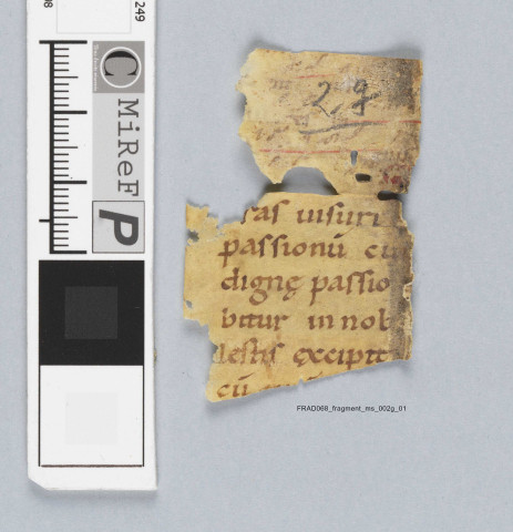 Fragment ms 002g