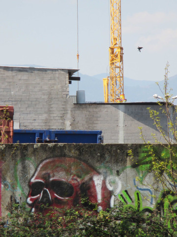 Les graffitis de la Lauch canalisée (secteur entreprise Schroll)