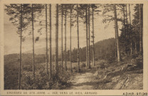 Sainte-Anne : vue vers le Vieil-Armand