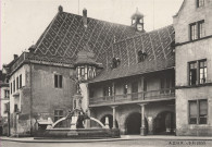 Colmar : Ancienne Douane et Fontaine Schwendi