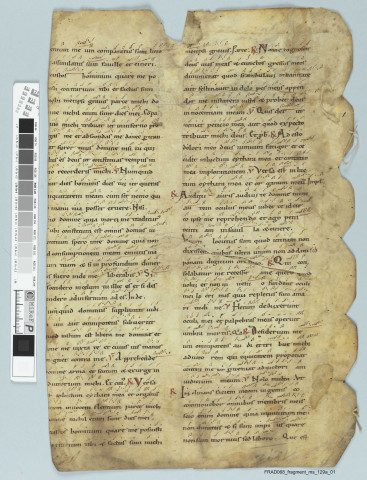 Fragment ms 129a