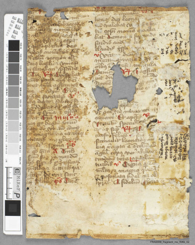 Fragment ms 596b