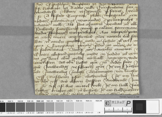 Fragment ms 568f