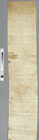 "Statuta Murbacensia"