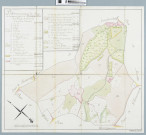 Bouxwiller (avec faubourg et château de Ferrette)