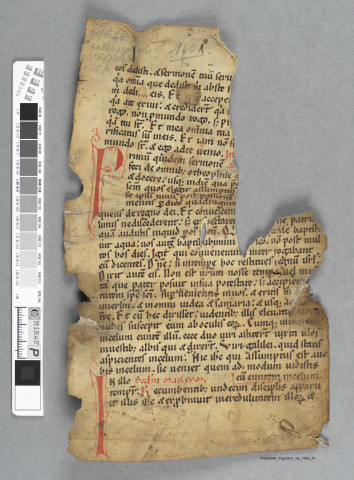 Fragment ms 160a