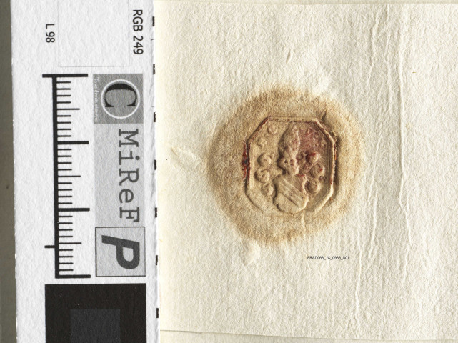 Lettres patentes de la veuve de l'archiduc Léopold d'Autriche
