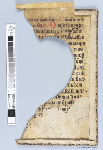 Fragment ms 038a
