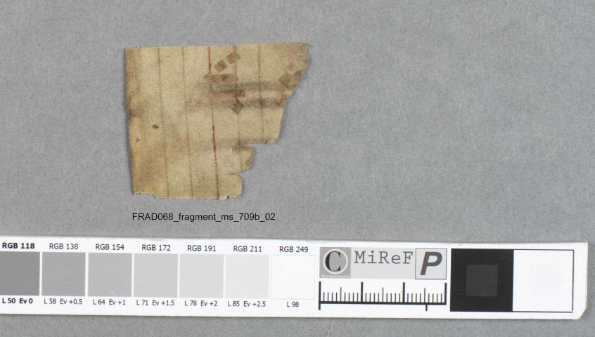Fragment ms 709b