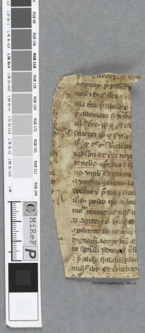 Fragment ms 190a