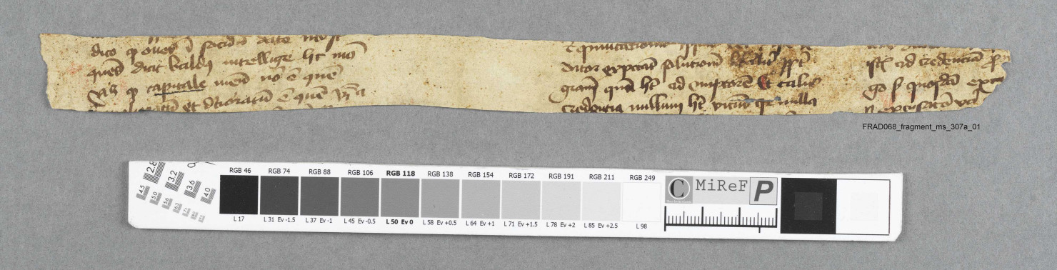 Fragment ms 307a