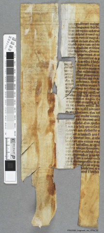 Fragment ms 479a