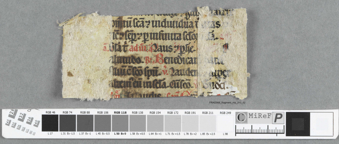 Fragment ms 313a