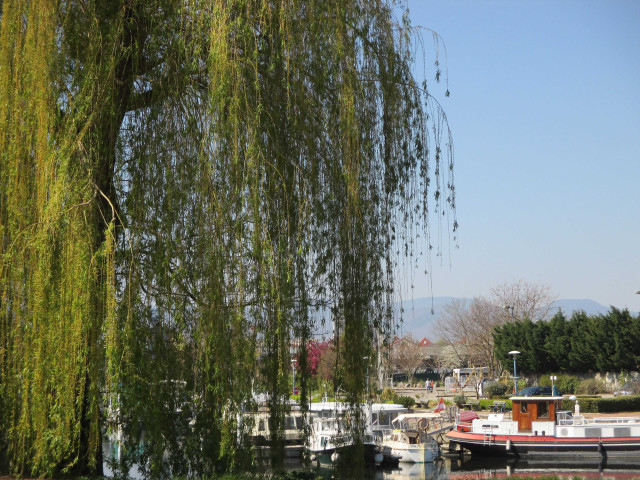 Le port du canal