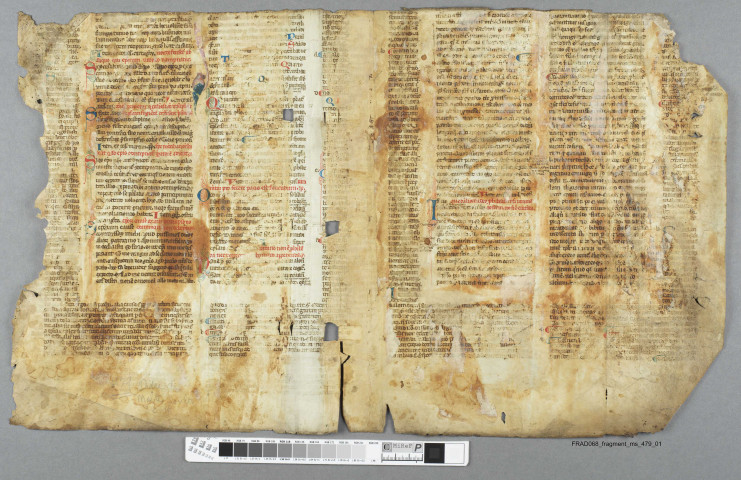 Fragment ms 479a