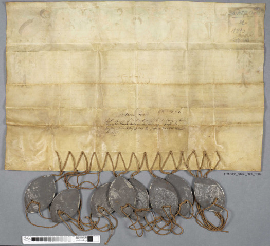 Indulgences accordées aux personnes qui visiteront l'église de Sainte-Croix-en-Plaine (parchemin latin enluminé)