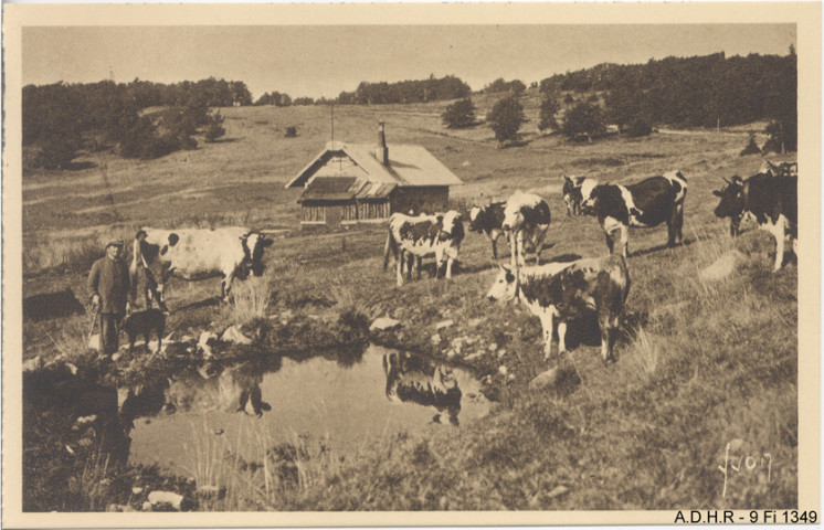 Du Linge à la Schlucht : paysage pittoresque