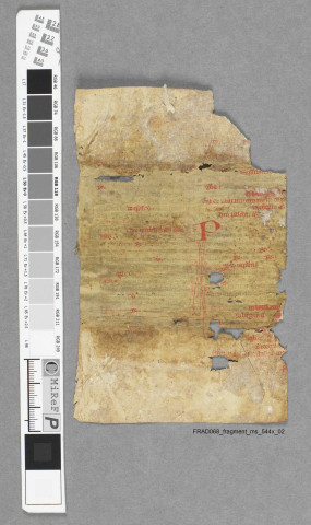 Fragment ms 544x