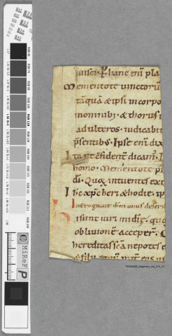 Fragment ms 515a